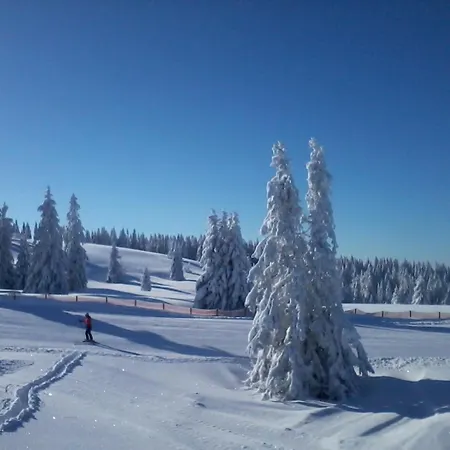 Seeblick Nr 3, 2 Zi-baerental, Feldberg