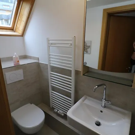 Seeblick Nr 3, 2 Zi-baerental, Feldberg