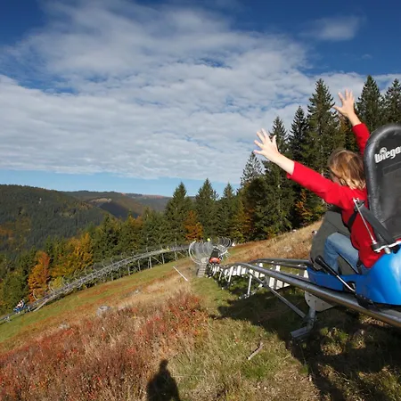 Seeblick Nr 3, 2 Zi-baerental, Feldberg Lejlighed Feldberg (Baden-Wurttemberg)
