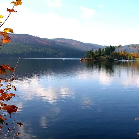 Seeblick Nr 3, 2 Zi-baerental, Feldberg
