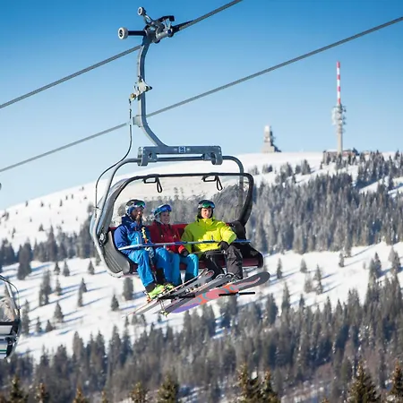 Seeblick Nr 3, 2 Zi-baerental, Feldberg *