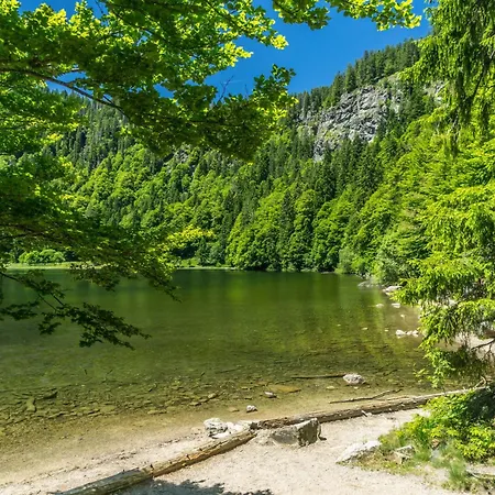 Seeblick Nr 3, 2 Zi-baerental, Feldberg Apartment